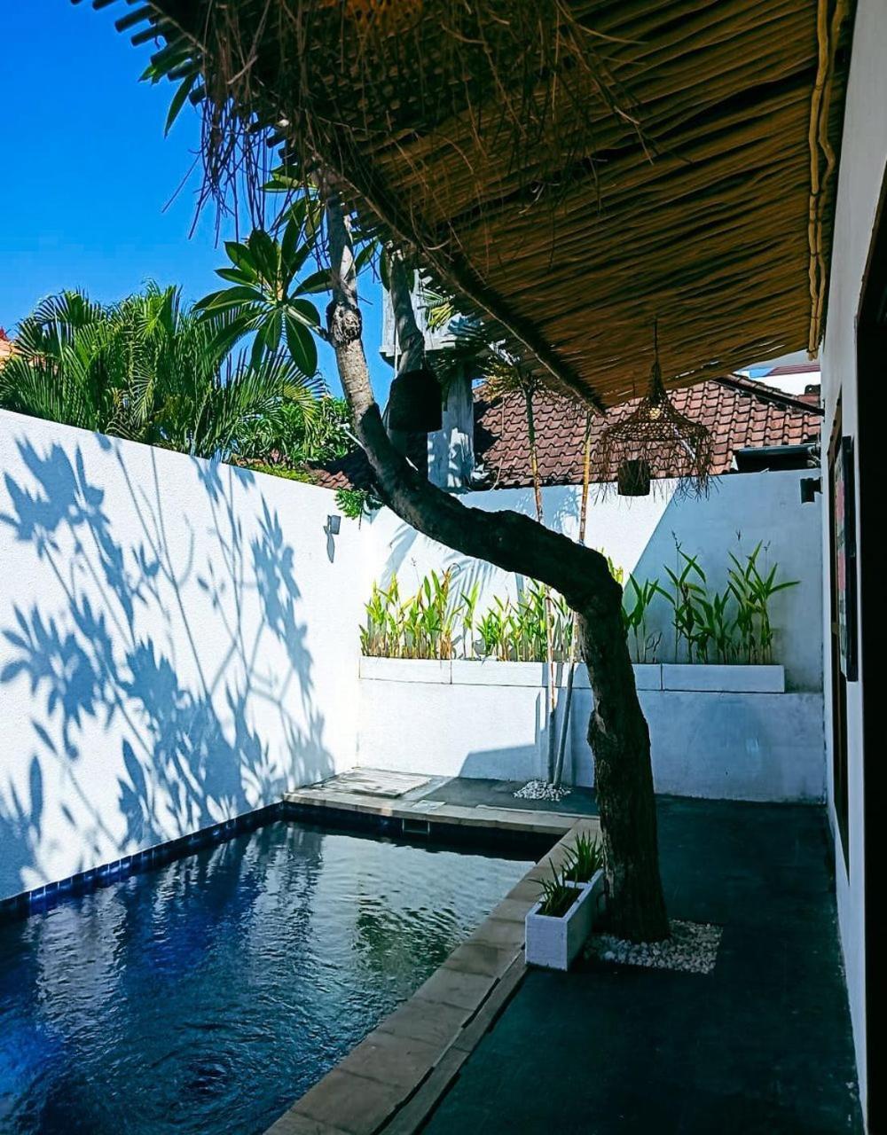 Misoni 2 Bedrooms Side Sanur! Villa Sanur (Bali)
